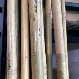 8' Bamboo Poles