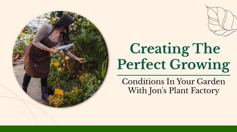 Creating the Perfect Growing Conditions in Your Garden with Jon’s Plant Factory
