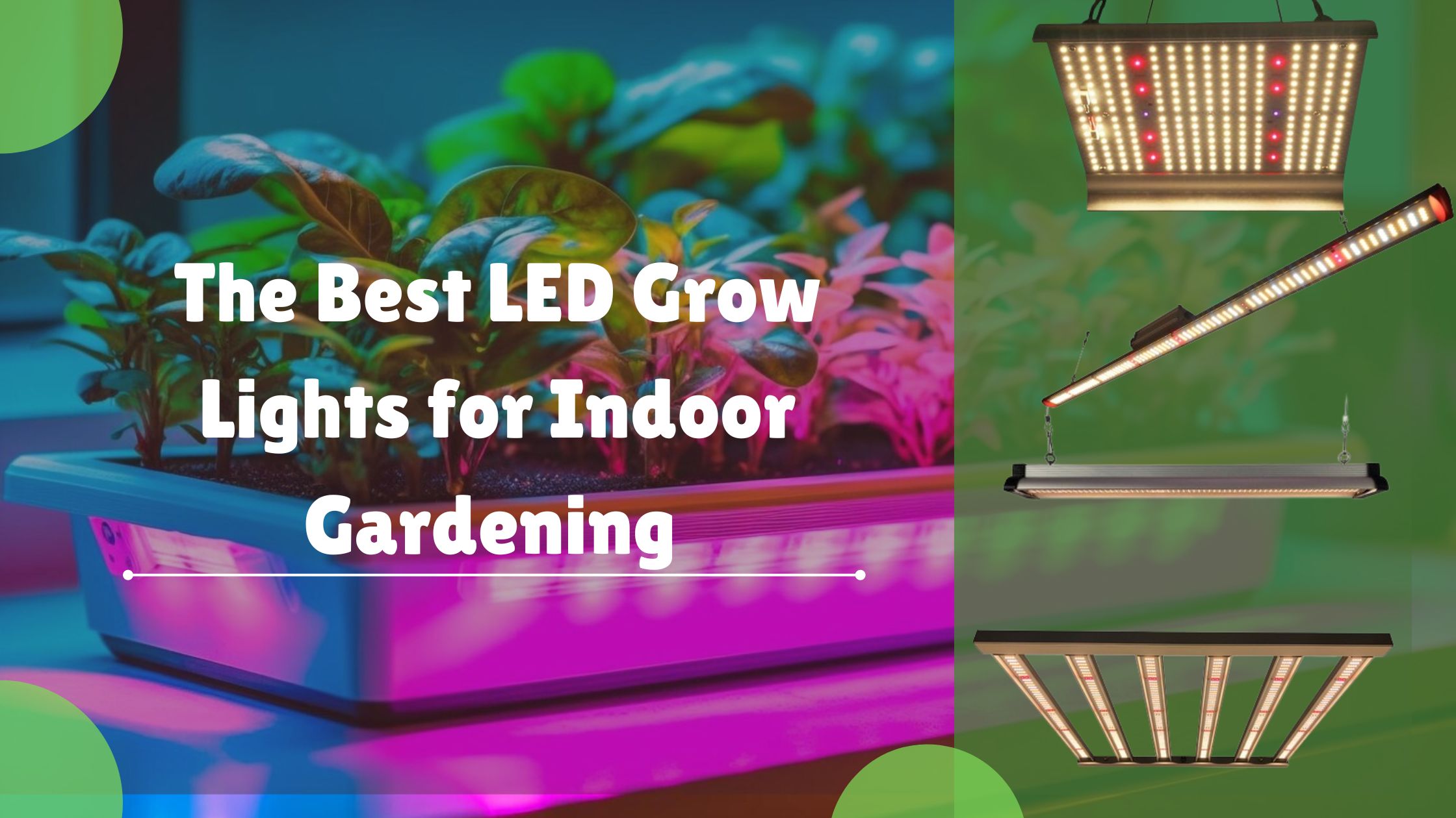 Best LED Grow Lights for Indoor Gardening