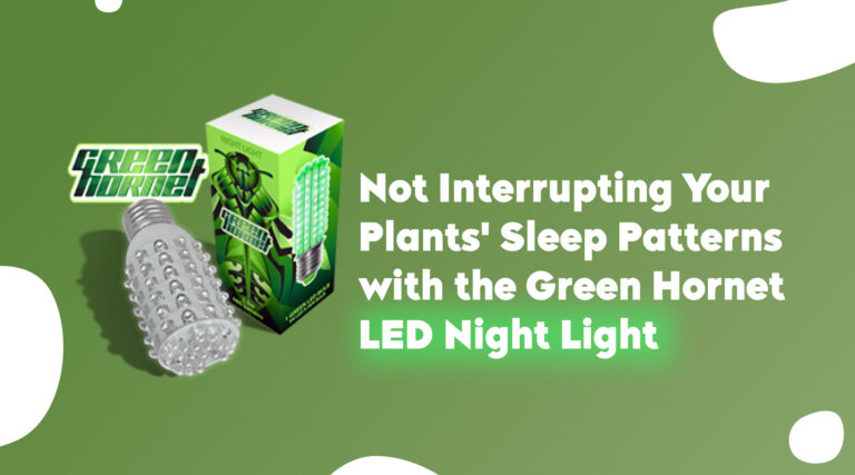 Not Interrupting Your Plants’ Sleep Patterns with the Green Hornet LED Night Light