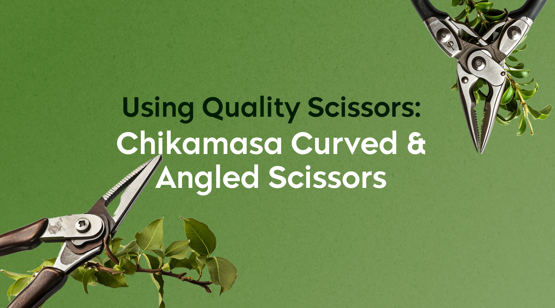 Quality Scissors