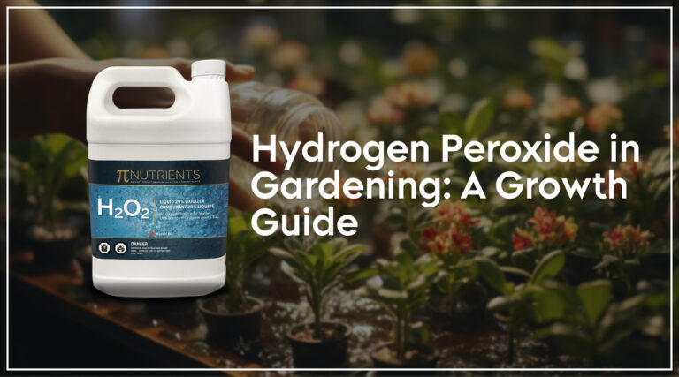 Hydrogen Peroxide in Gardening: A Growth Guide