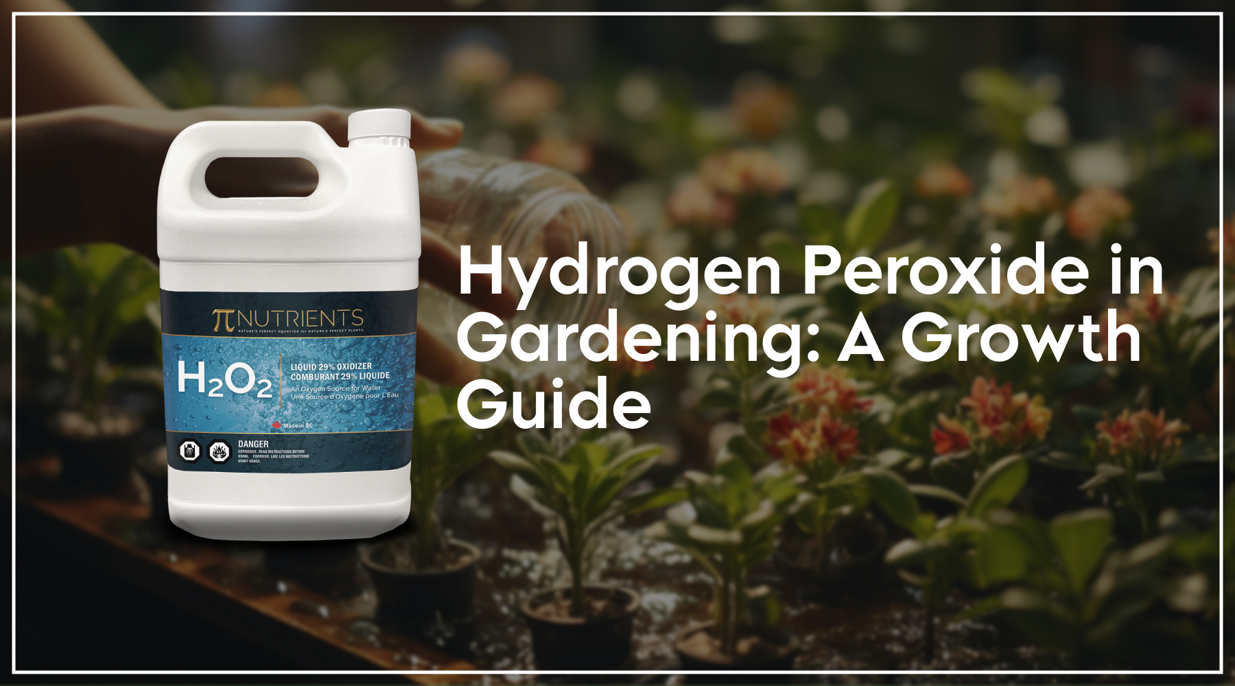Hydrogen Peroxide in Gardening