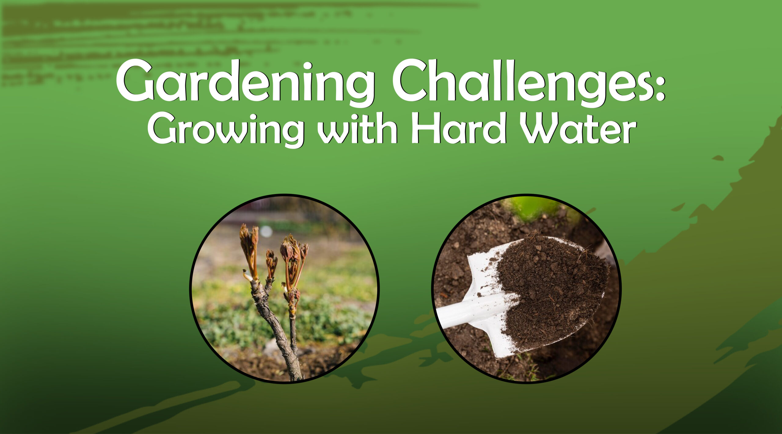 Growing with Hard Water