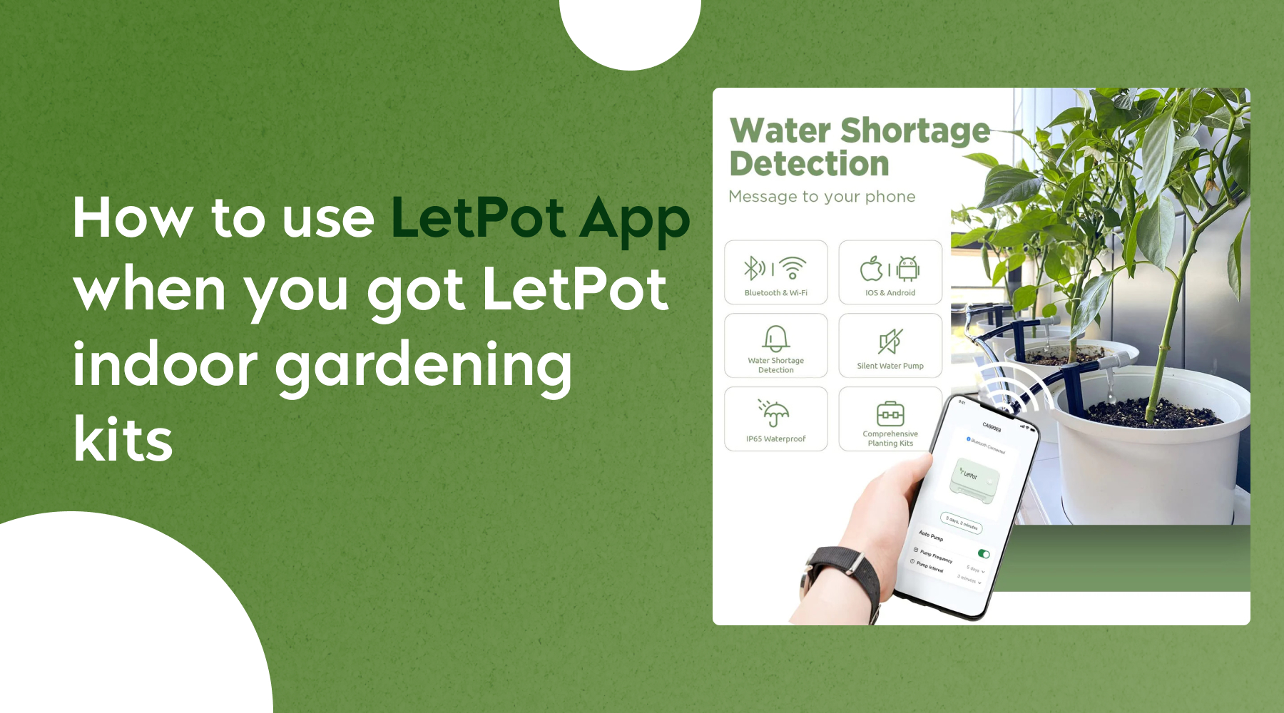 Letpot App