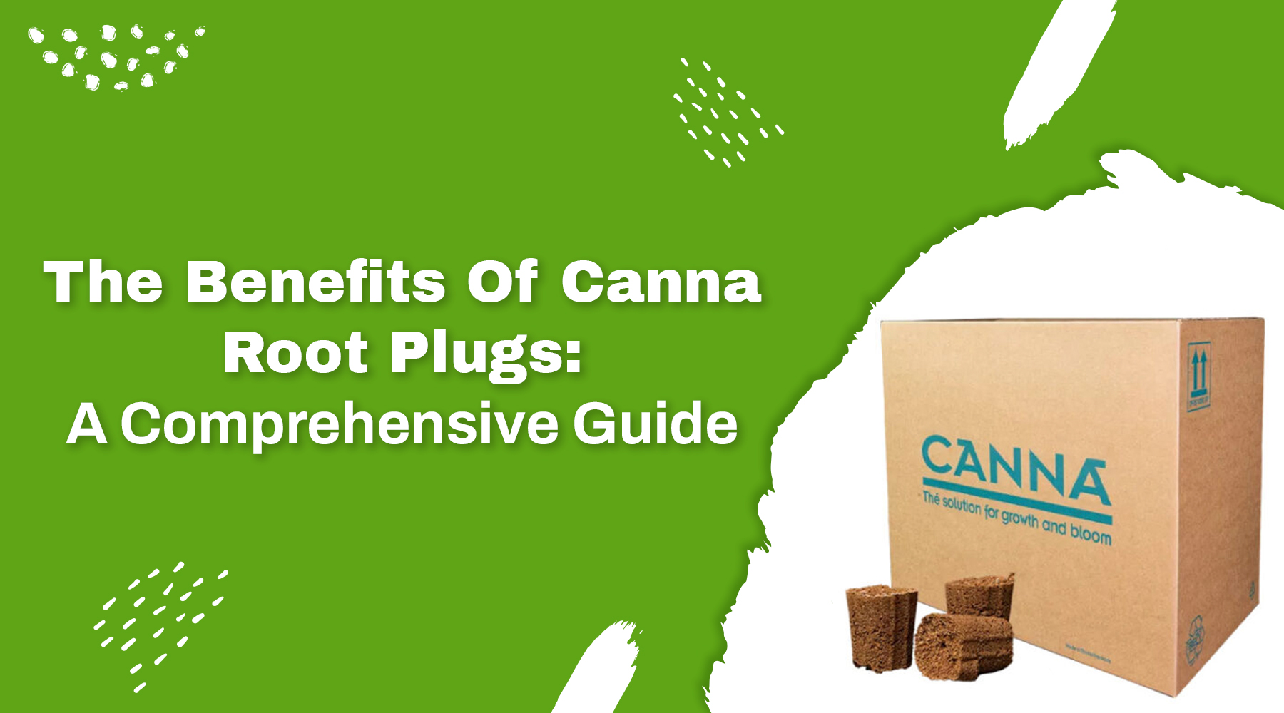 Canna Root Plugs