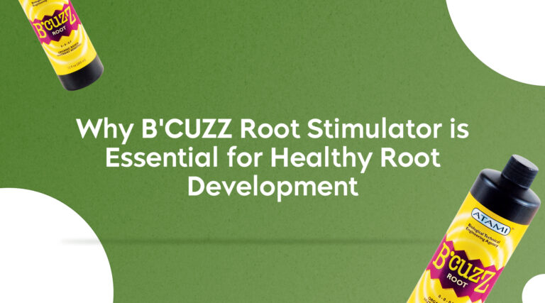 Why Bcuzz Root Stimulator is Essential for Healthy Root